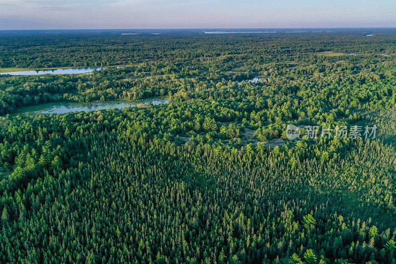 黄昏时的Muskoka Torrance Barrens Dark-Sky保护区，Gravenhurst，加拿大